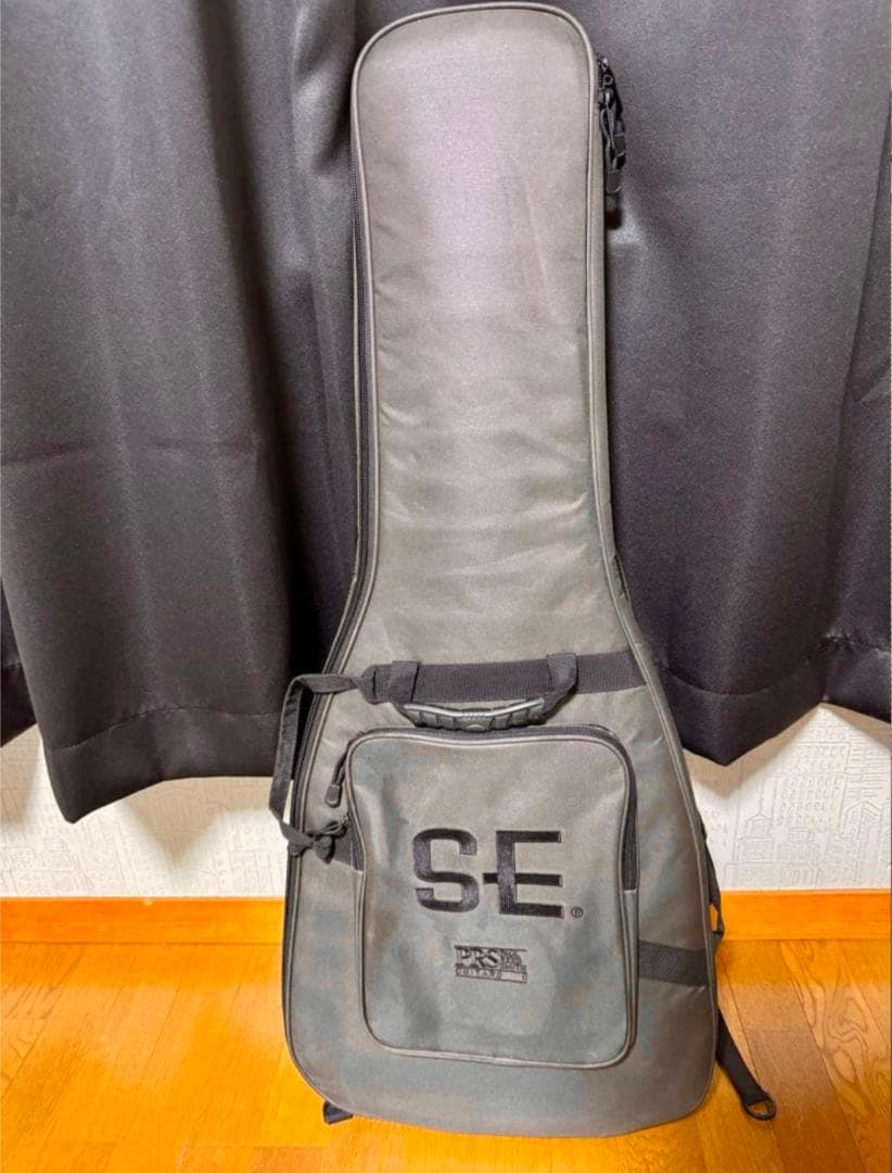 PRS SE STANDARD 24 Platinum ポールリードスミス