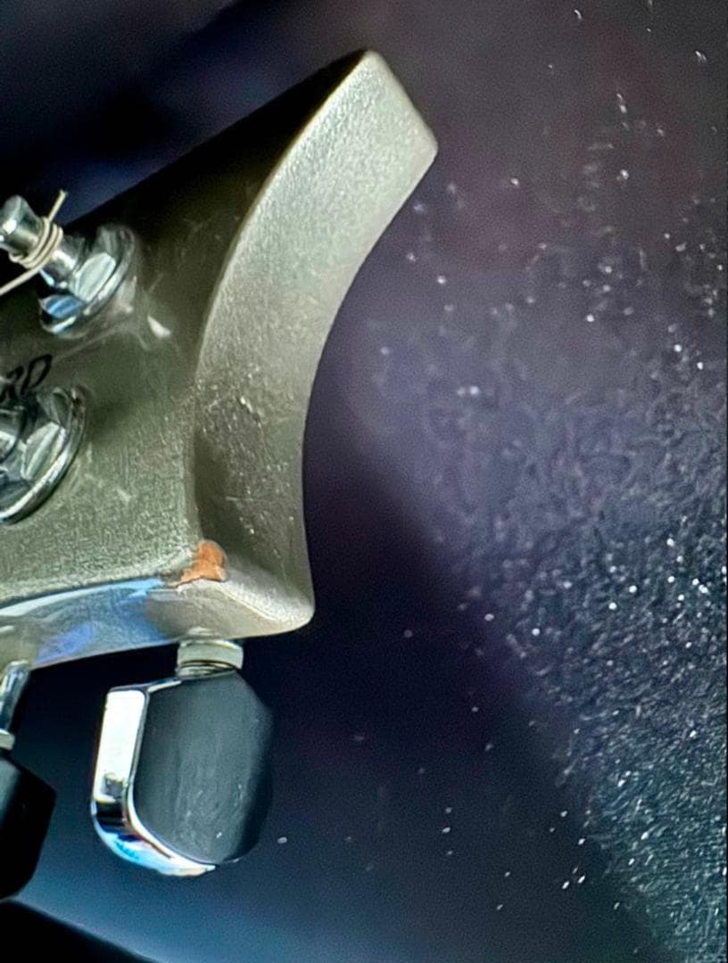 PRS SE STANDARD 24 Platinum ポールリードスミス