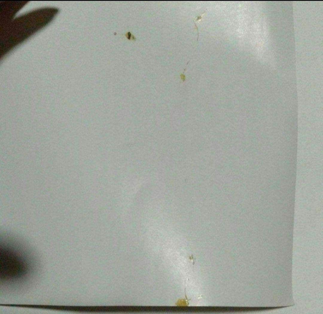 GARNET CROW 告知ポスター 非売品