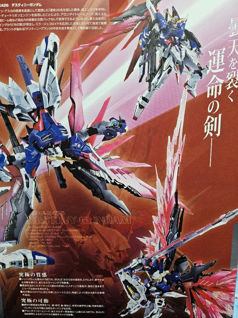 L BUILD デスティニーガンダム フルパッケージ2024