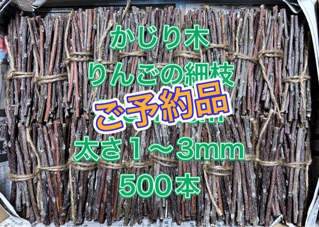 こうちゃん様　ご予約品　かじり木　りんごの細枝　太さ1〜3mm 500本