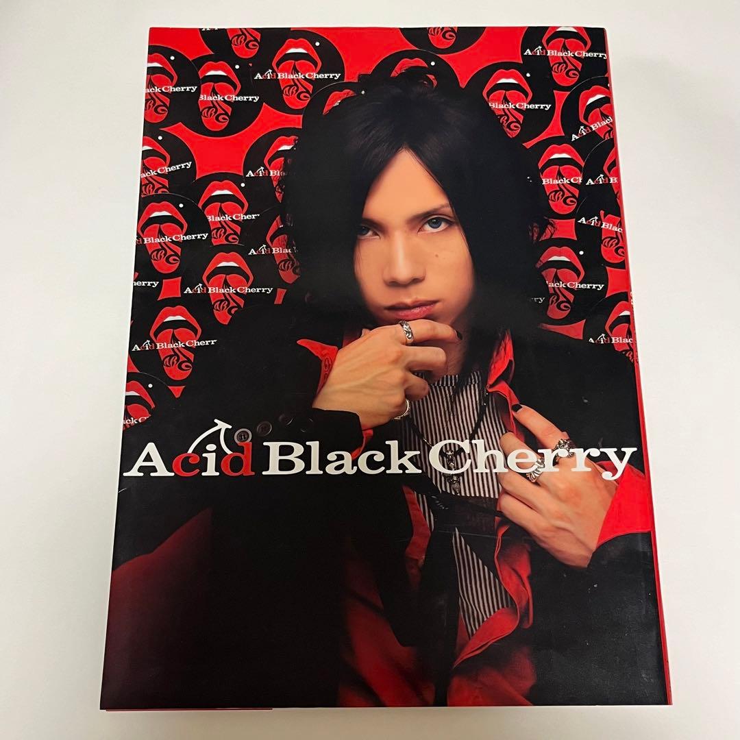 Janne Da Arc Acid Black Cherry 本まとめ売り