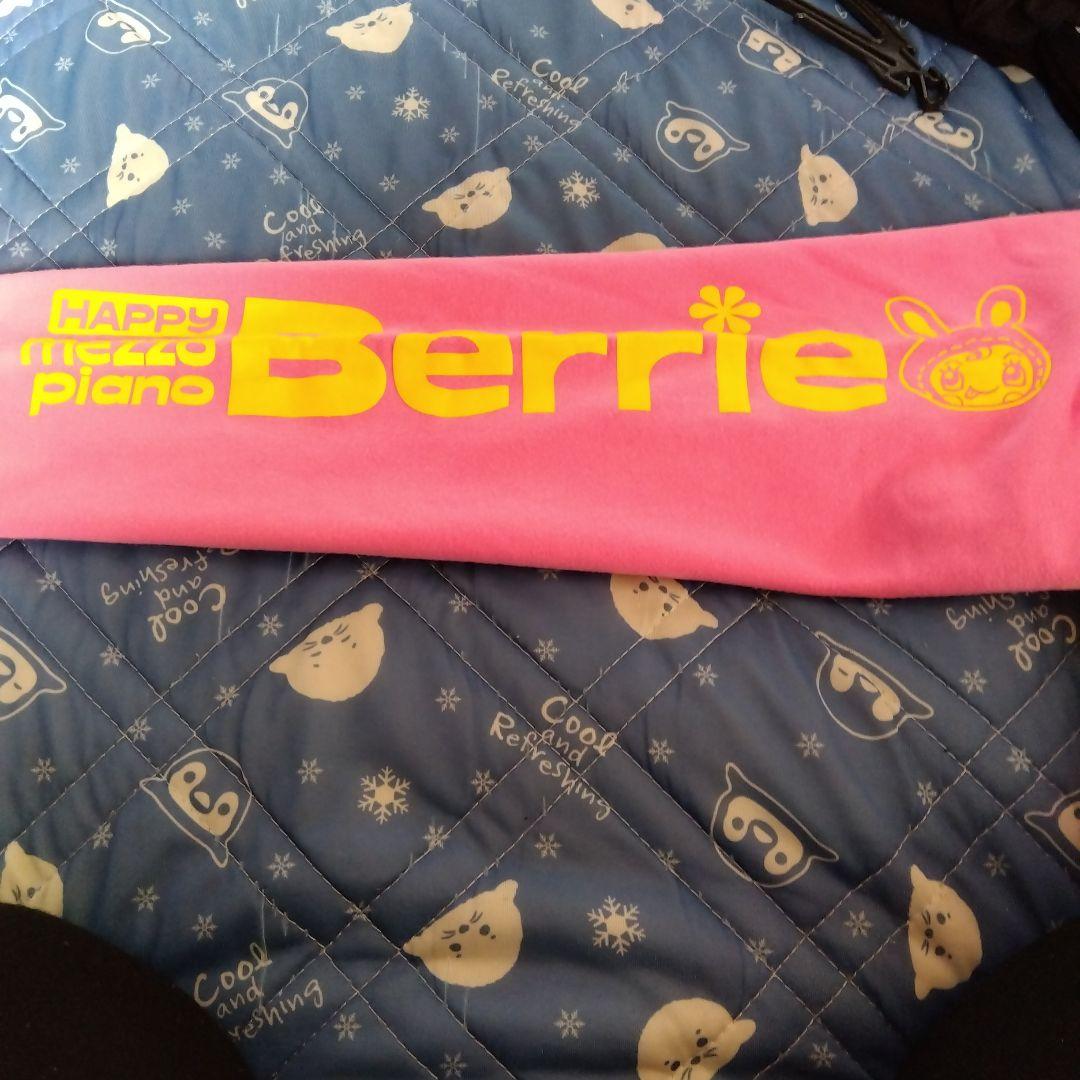 「超可愛い」メゾピアノべリエちゃんトレーナー１６０cm