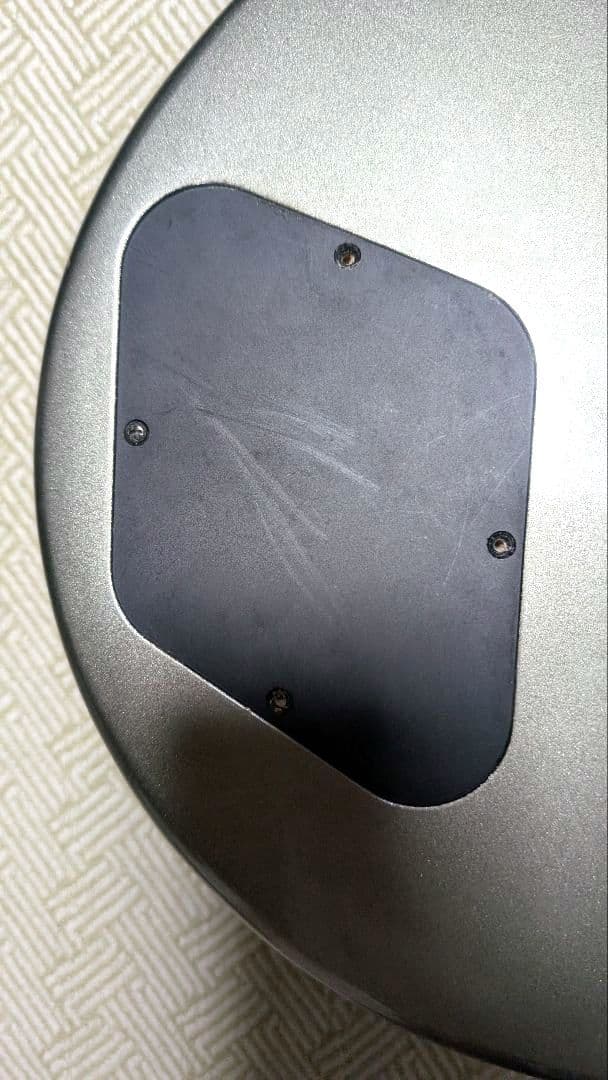 Burny/バーニー LG-480 レスポールタイプ エレキギター（ギター弦付）