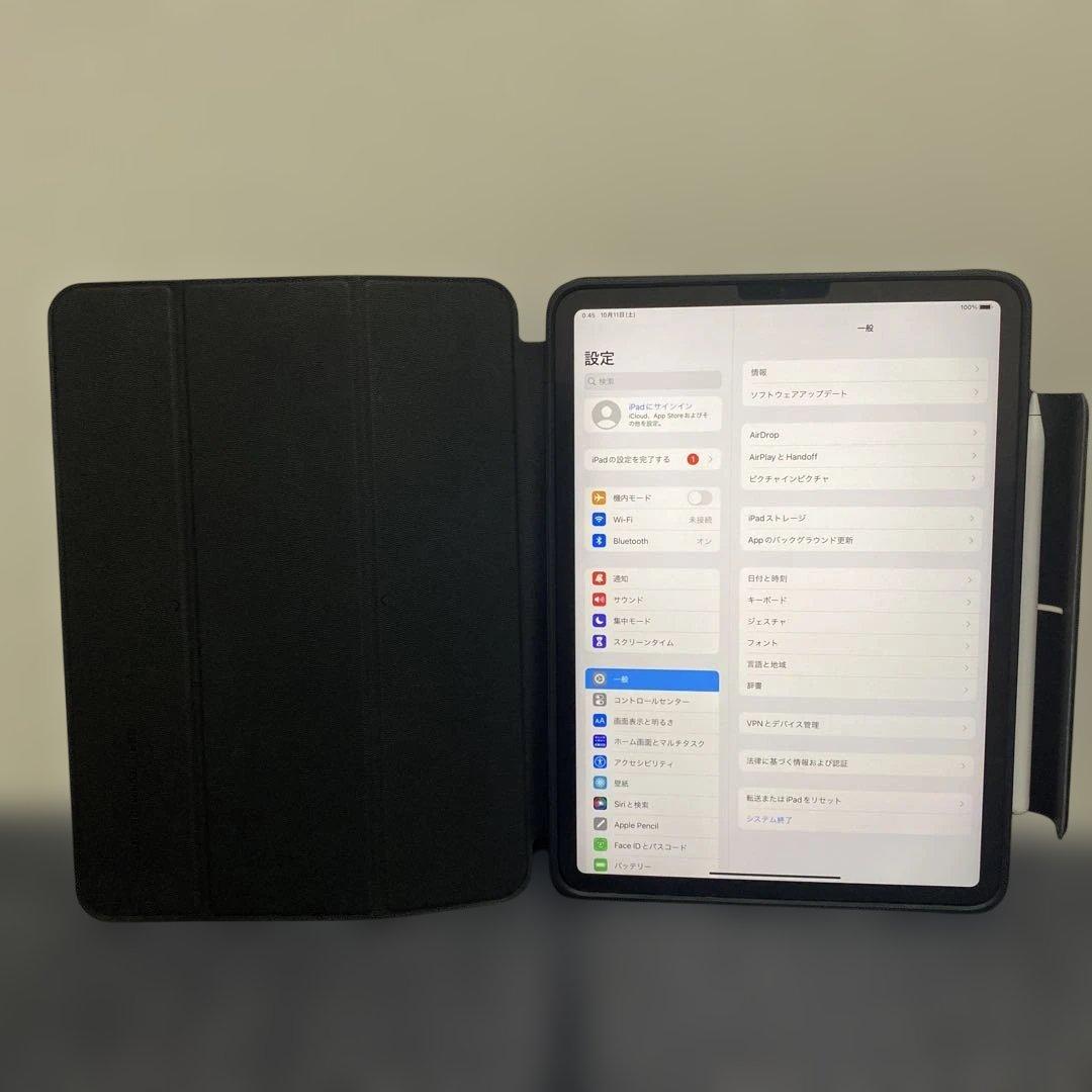 ぬ*に様 iPad Pro 11インチ 第4世代 フルセット