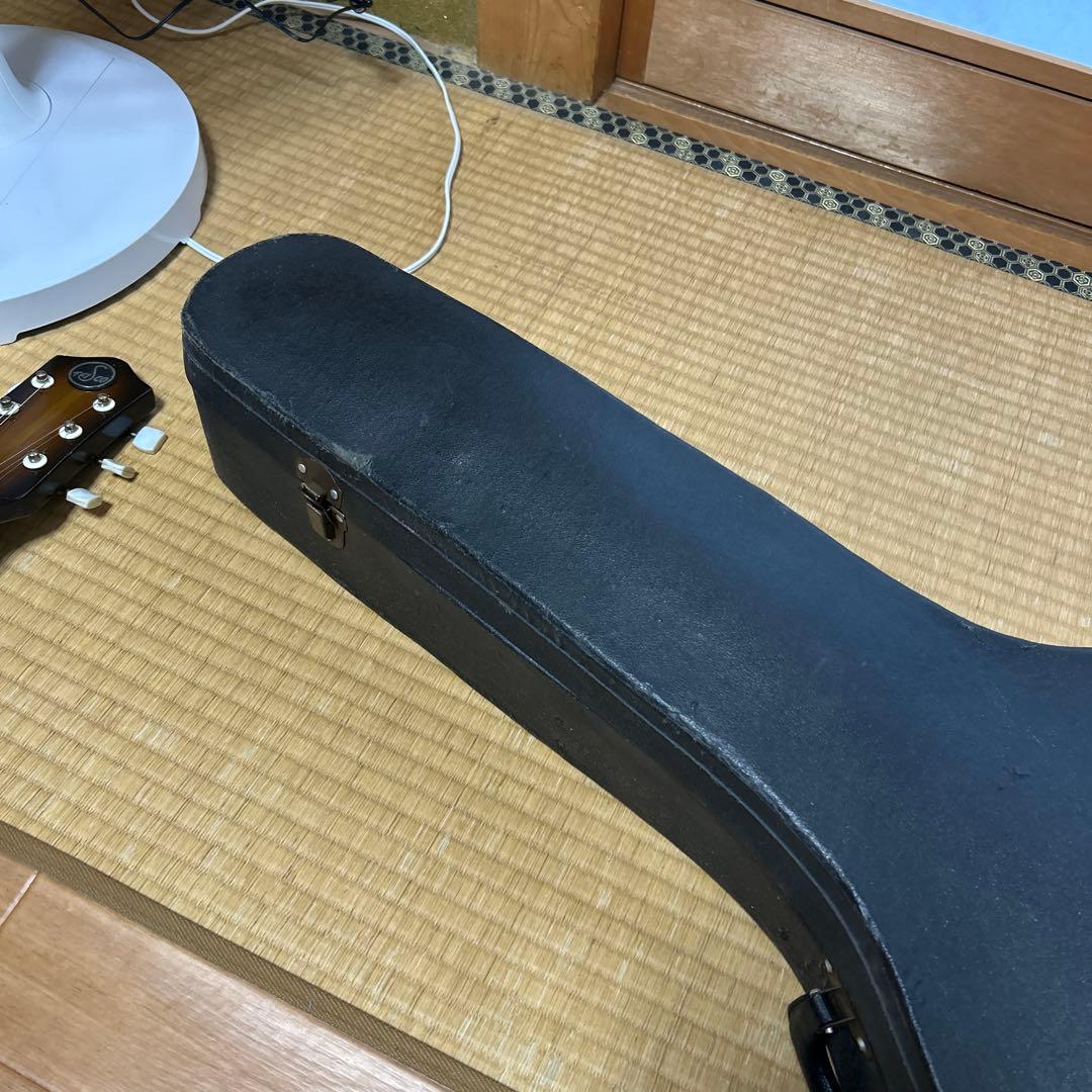 TEISCO EP-2L 1960年代 テスコ　サンバースト