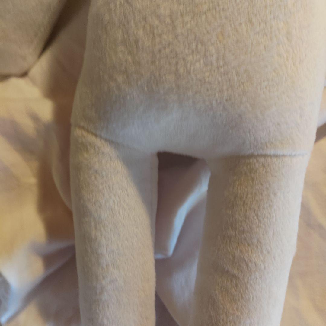 どこでもいっしょ ぬいぐるみセット　おやすみニャ約85cm