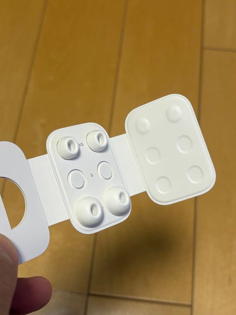 イヤホン iPods Pro 2