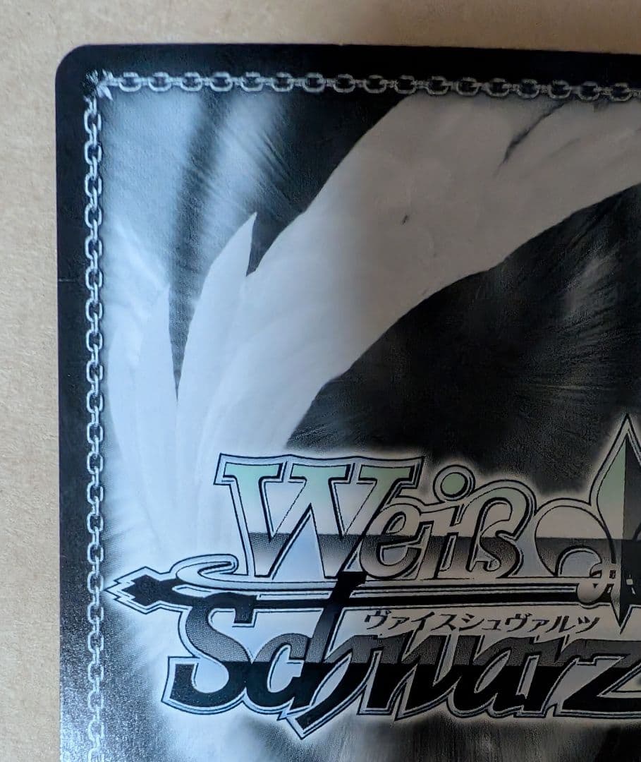 ヴァイス　みずがき湖を眺めて あおい　SSP　ゆるきゃん