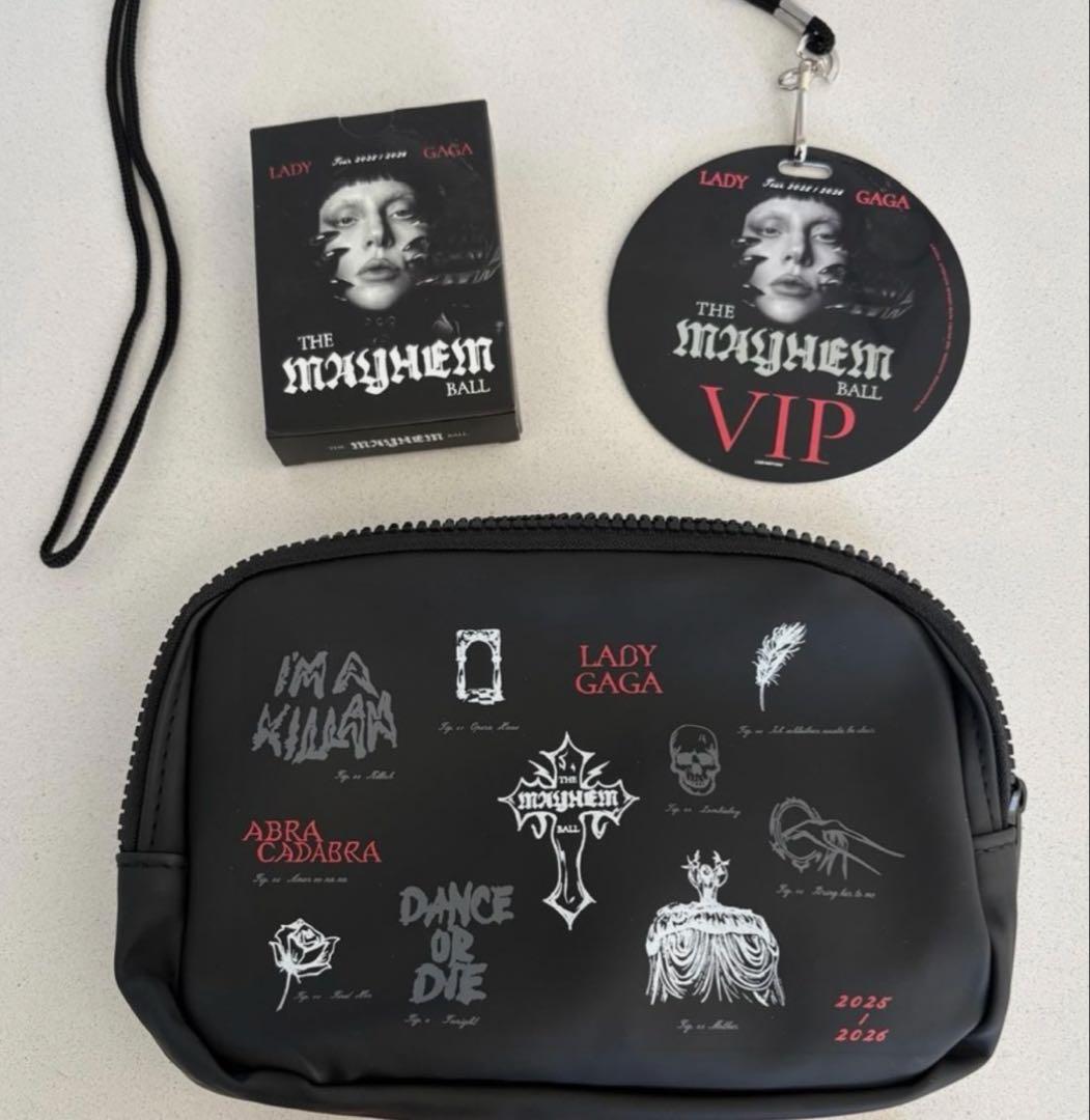 レディーガガ VIPグッズ バッグ、カード、ラミネートパス 3点