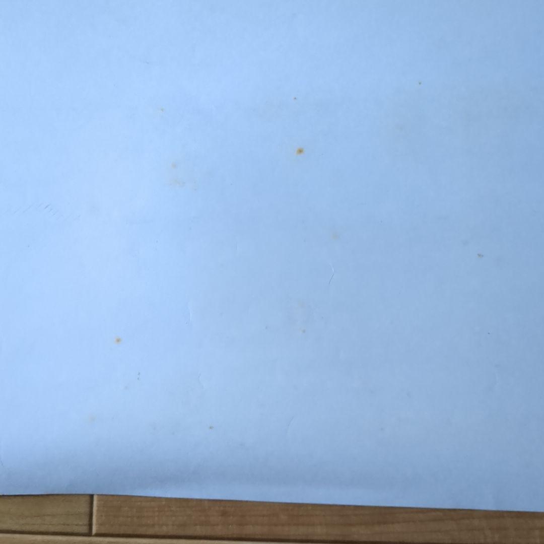 [希少]１９９２年 THE YELLOW MONKEY ポスター デビュー告知