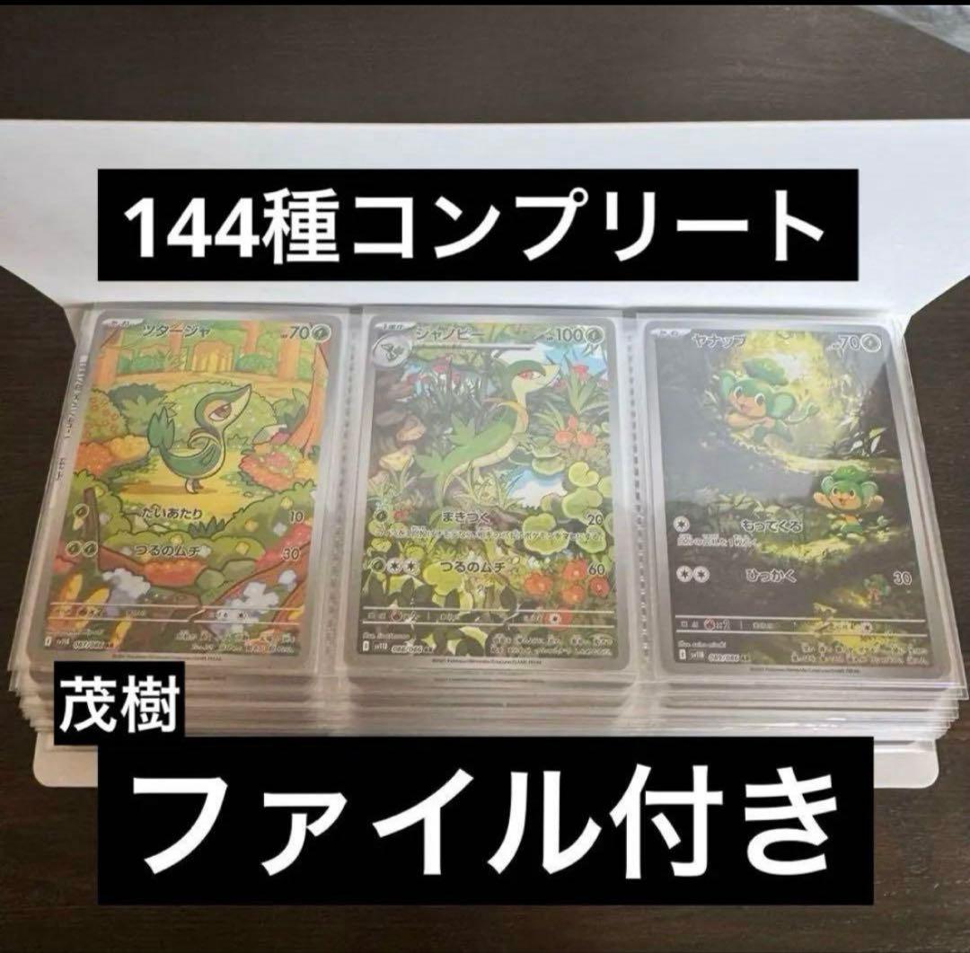 ブラックボルト　ホワイトフレア　AR 144種　コンプリートセット　ファイル付き
