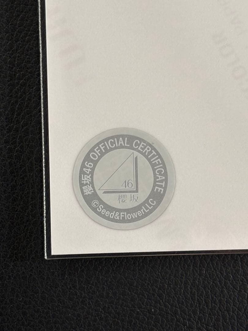 櫻坂46 藤吉夏鈴 2025年サンタ衣装 直筆サイン入り生写真