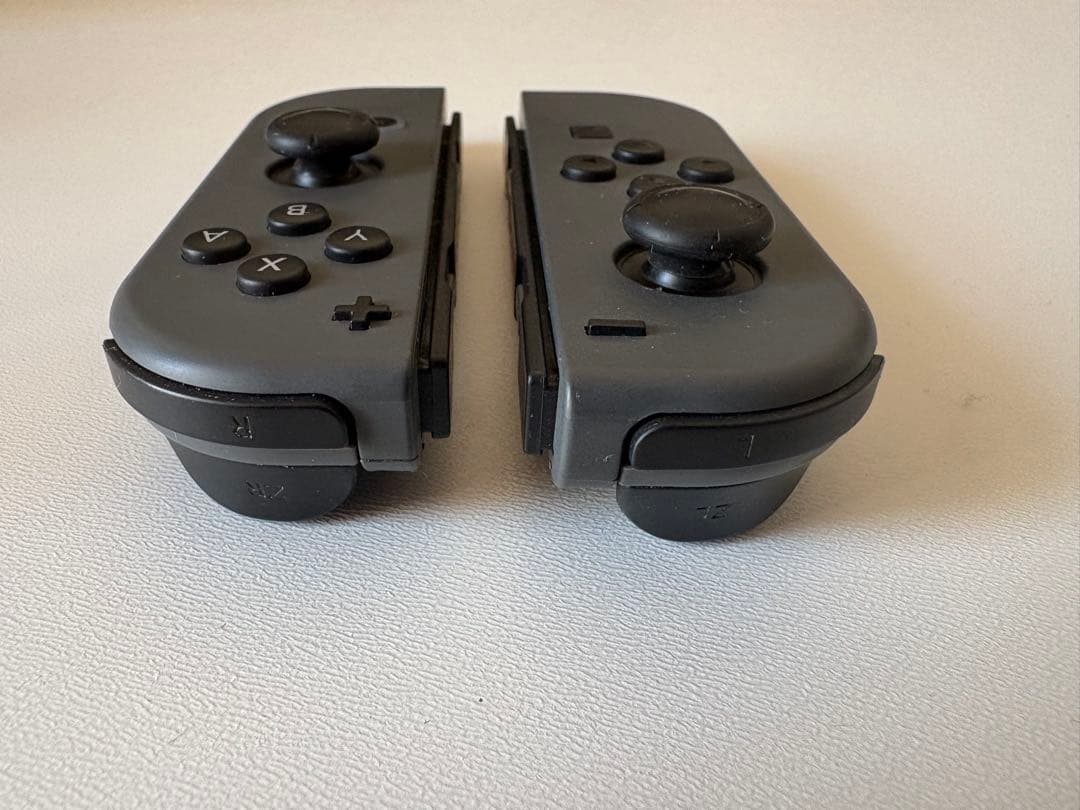 Nintendo Switch 本体 グレー おまけ付