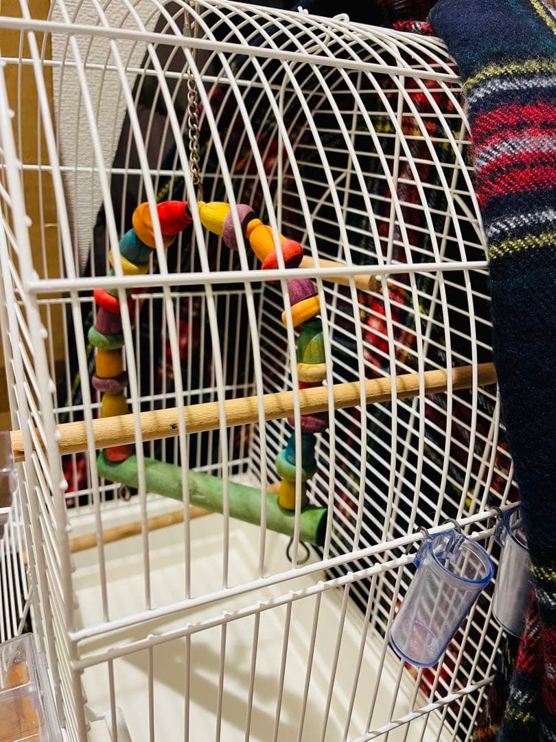 鳥かご フランスZOLUX CHICバードケージ ホワイト