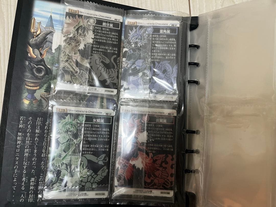 神羅万象 神獄之書 限定ファイル プロモカード付き