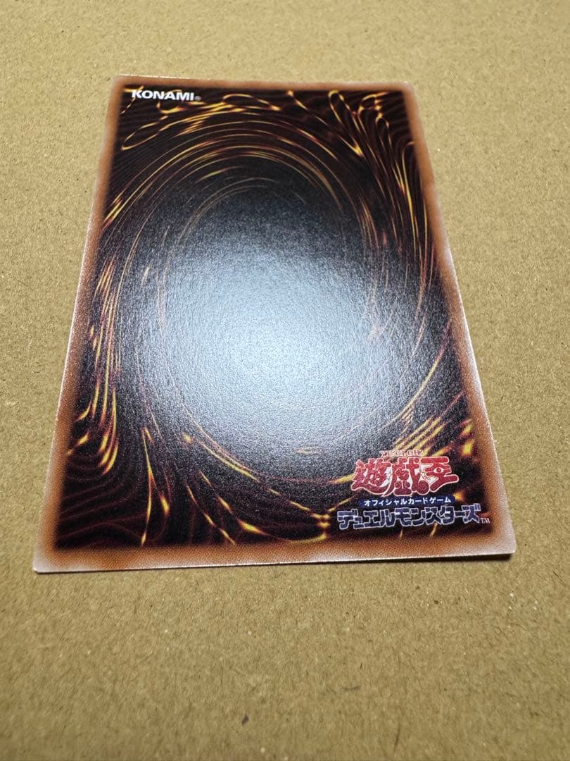 本日限りの値下げ　誇りと魂の龍【マグネットローダー付き】INFO-JP000