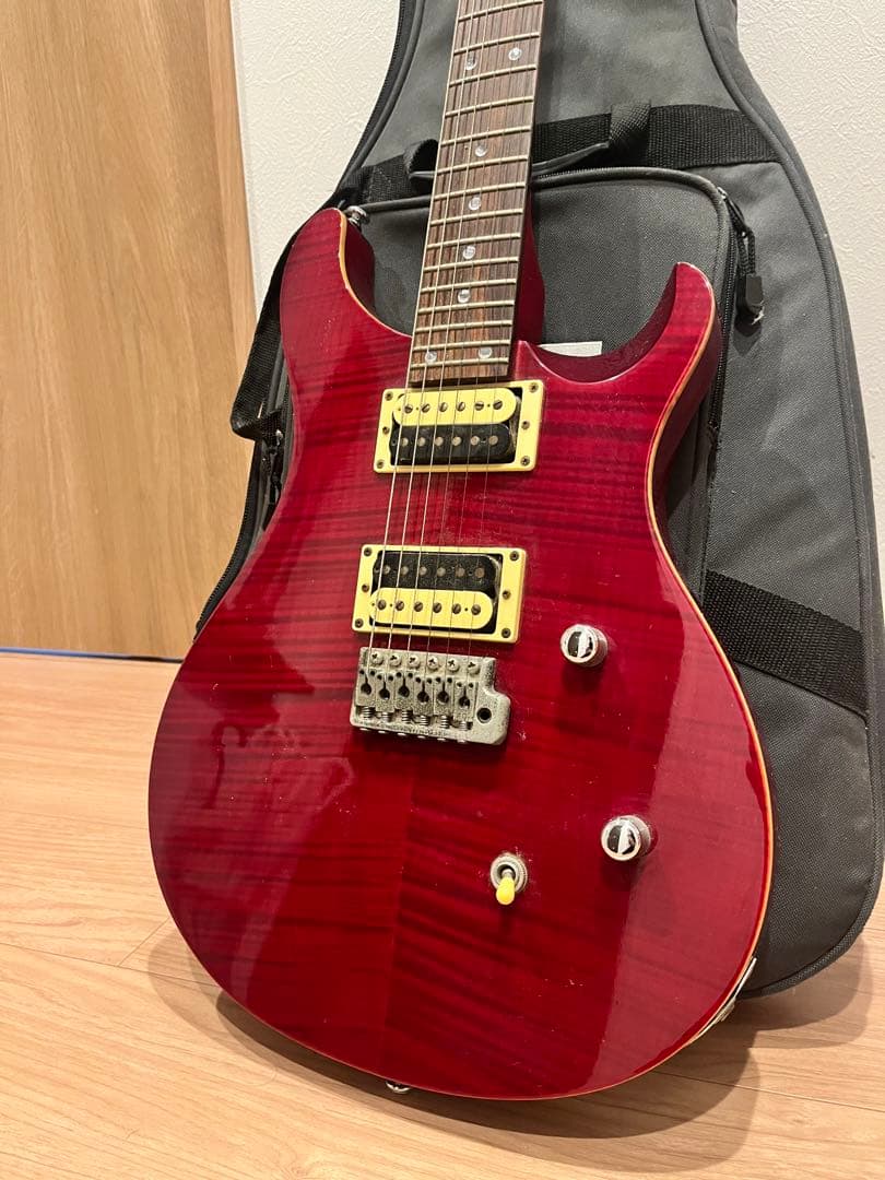 PRS SE Custom 24 ポールリードスミス