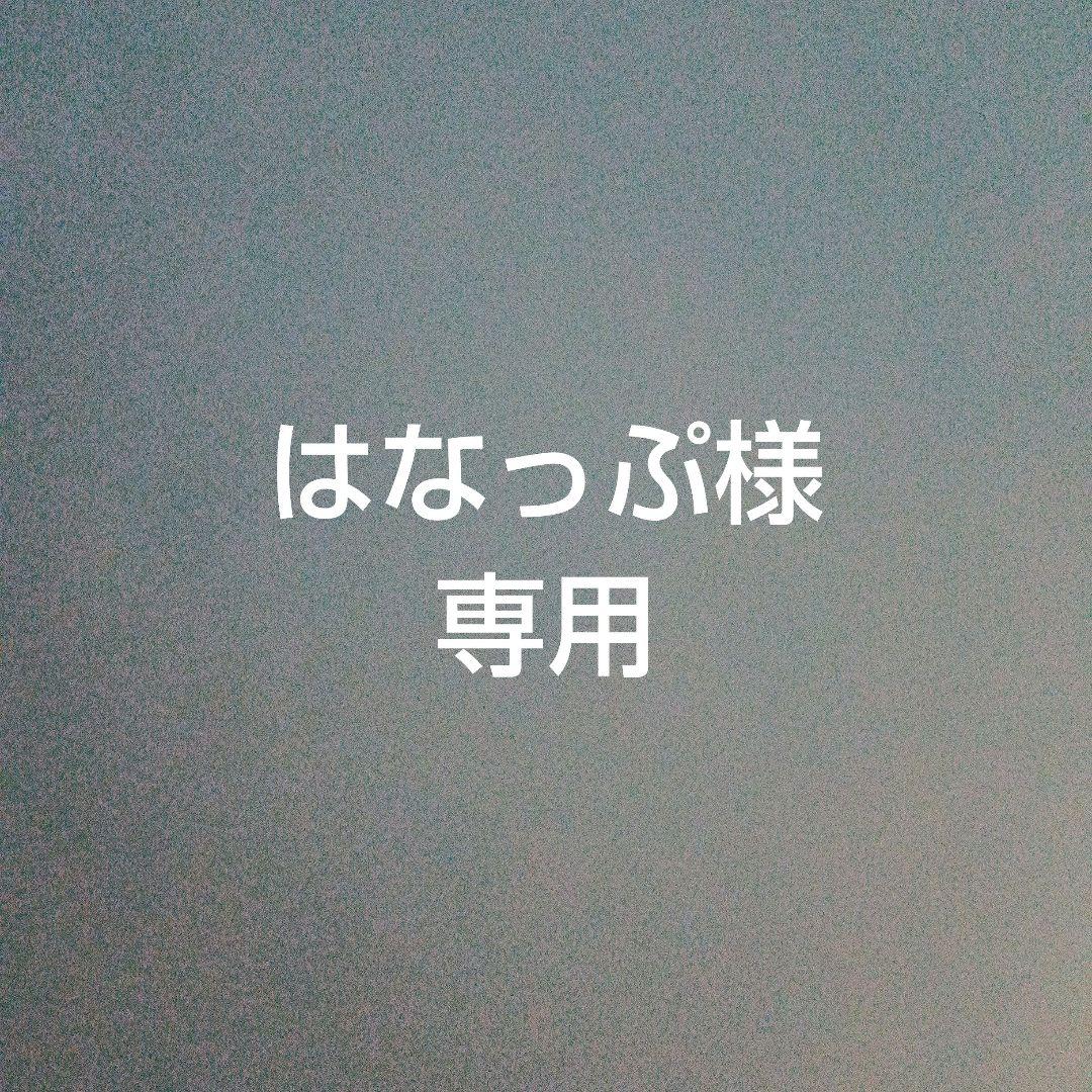 はなっぷ　ディズニーフルセット3