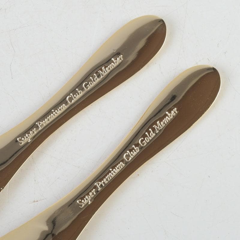 ハーゲンダッツ　スーパープレミアムクラブ　カップ＆スプーン　C　9364