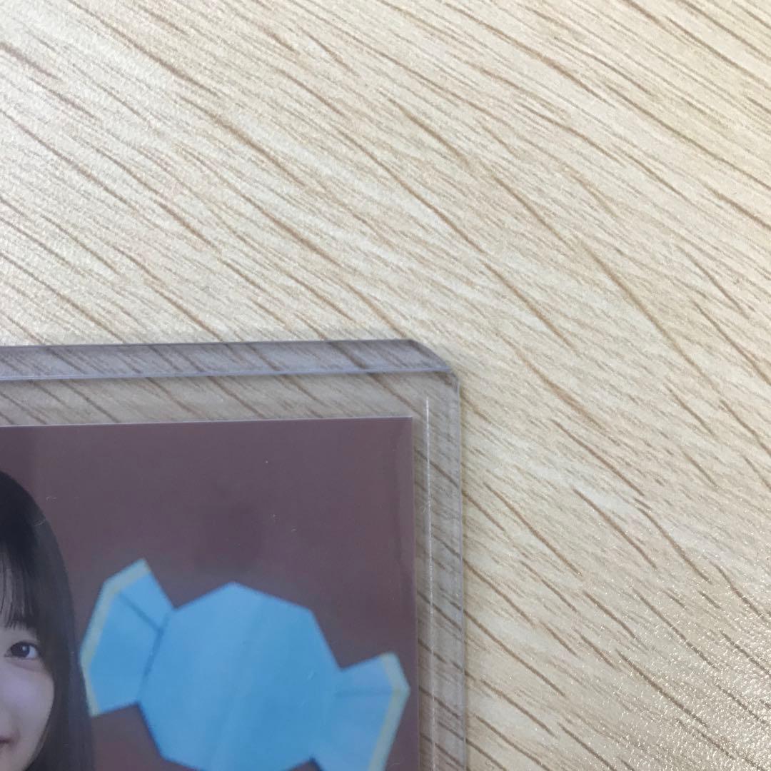 五百城茉央　直筆サイン入り　ハロウィン2022コンプ　乃木坂46