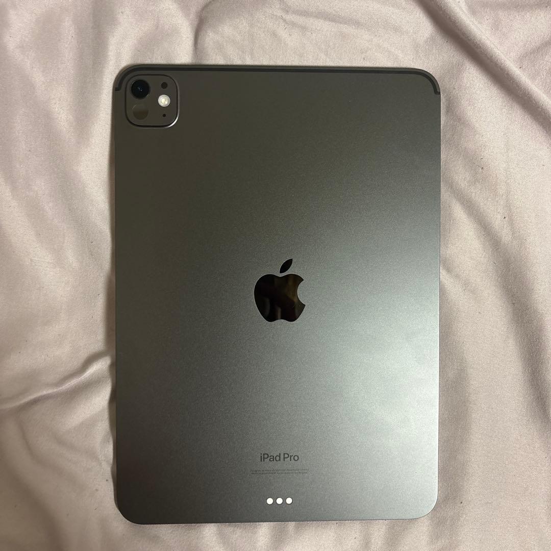 iPad Pro (M4) 11インチ 256GB