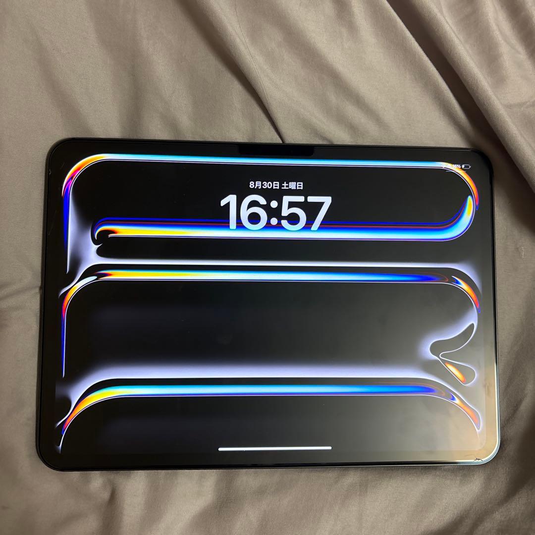 iPad Pro (M4) 11インチ 256GB