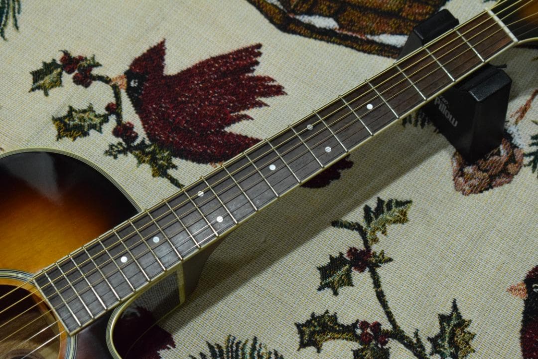 Morris MR-451BS エレアコ ケース付