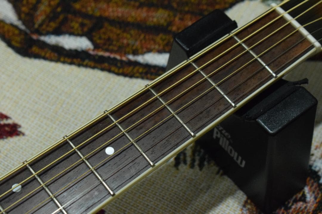 Morris MR-451BS エレアコ ケース付