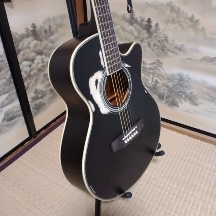アコースティックギター 黒 ブラック　カスタム　Tay○or パールシェル製