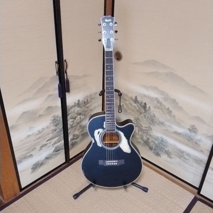 アコースティックギター 黒 ブラック　カスタム　Tay○or パールシェル製