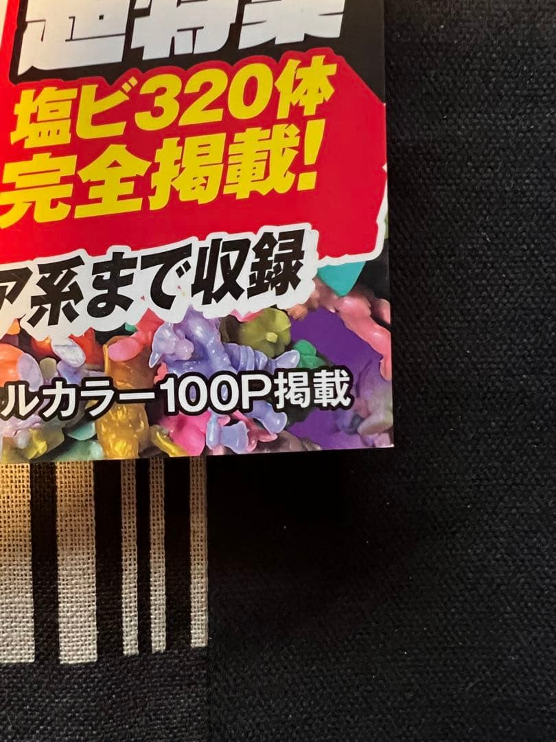 HITO-SUZI 2020年8月号 ネクロスの要塞