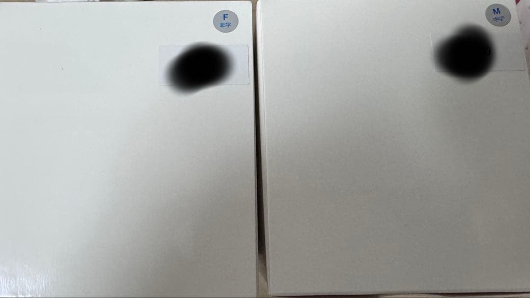 PILOT パイロット 万年筆 キャップレス 2024 限定 中字 M*1