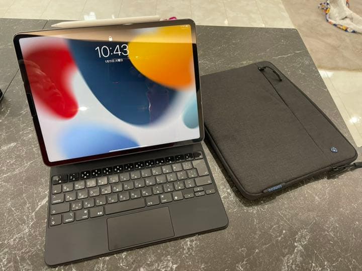 Apple iPad Pro 1T フルセット
