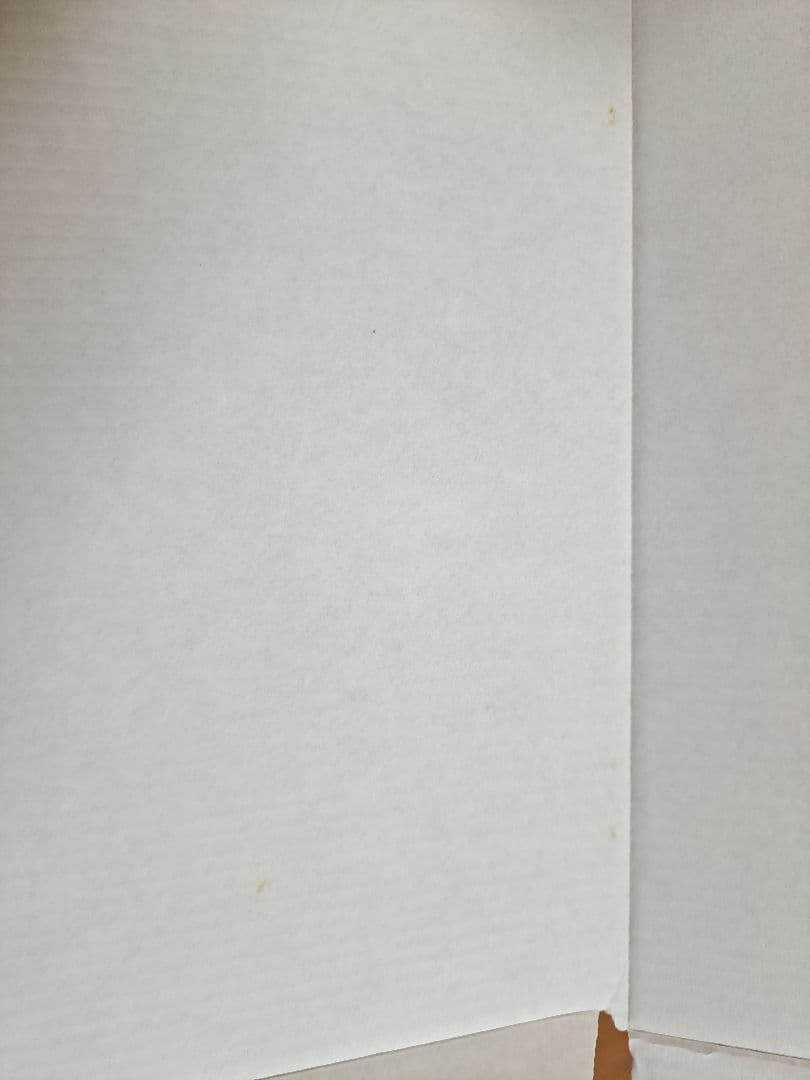 ポ*友様 Switchセット　ジョイコン右ジャンク　ソフトなし SDカード256