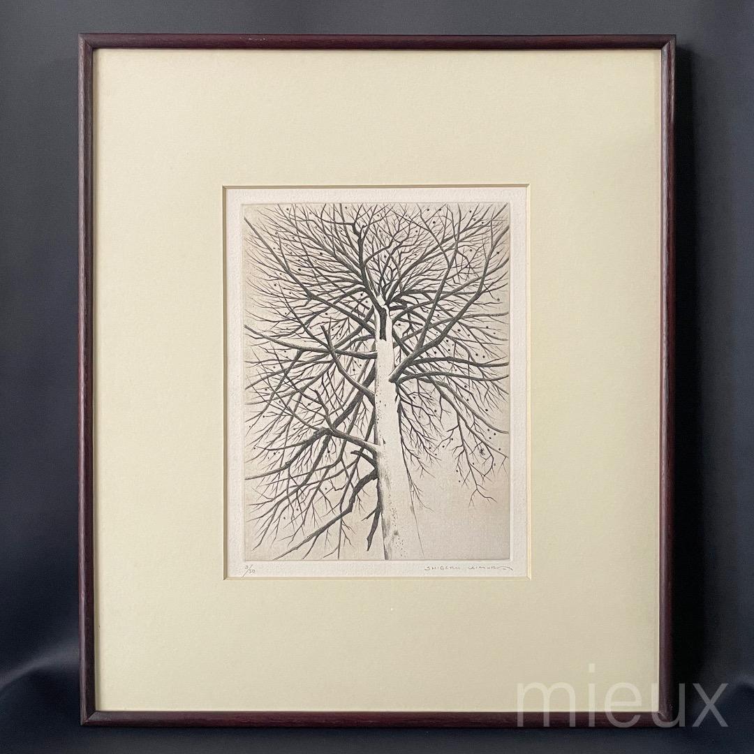 木村茂「立枯木 F」エッチング 額付 サイン入り 中古 美品