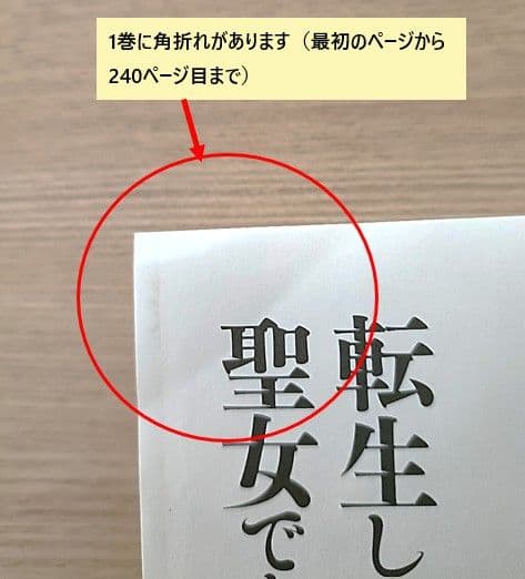 転生した大聖女は、聖女であることをひた隠す (ノベル) 1巻〜11巻セット