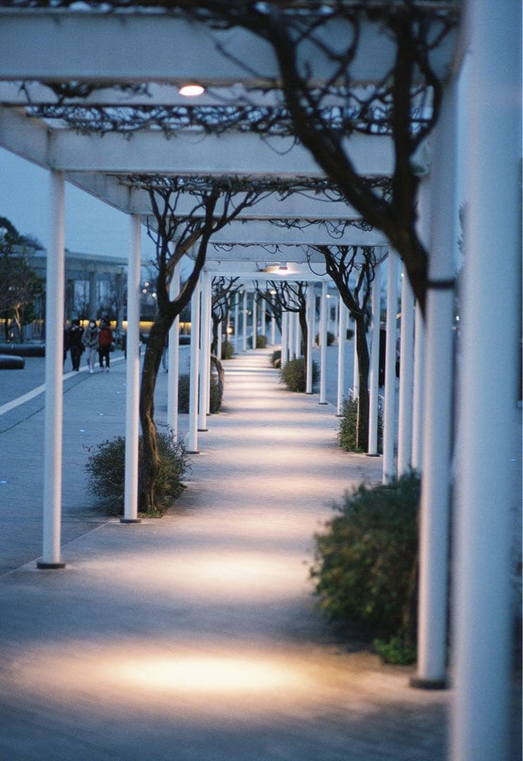 レンズ(単焦点) CarlZeiss Planar85mm f1.4