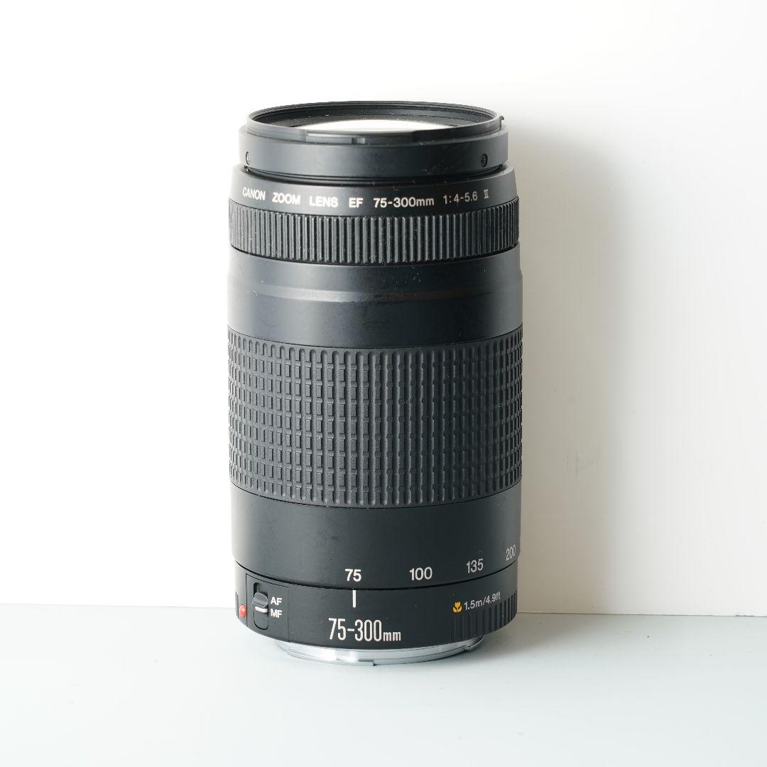 Canon キャノン ズームレンズ 4本セット