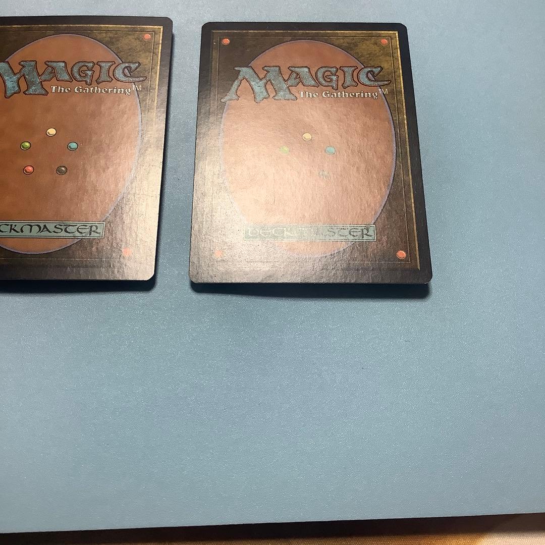 *バラ売り可*  神聖なる泉　 DIS日本語2枚セット