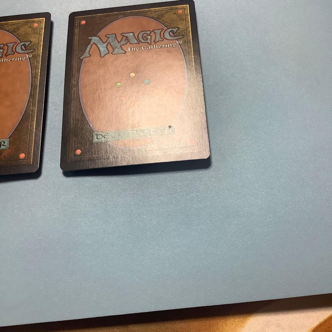 *バラ売り可*  神聖なる泉　 DIS日本語2枚セット