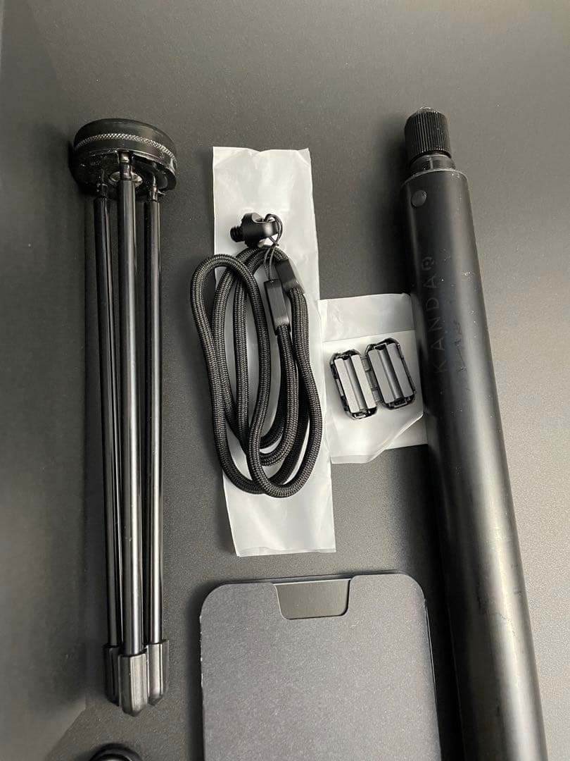 Kandao Qoocam 8K 360度VRカメラ （一脚付き）