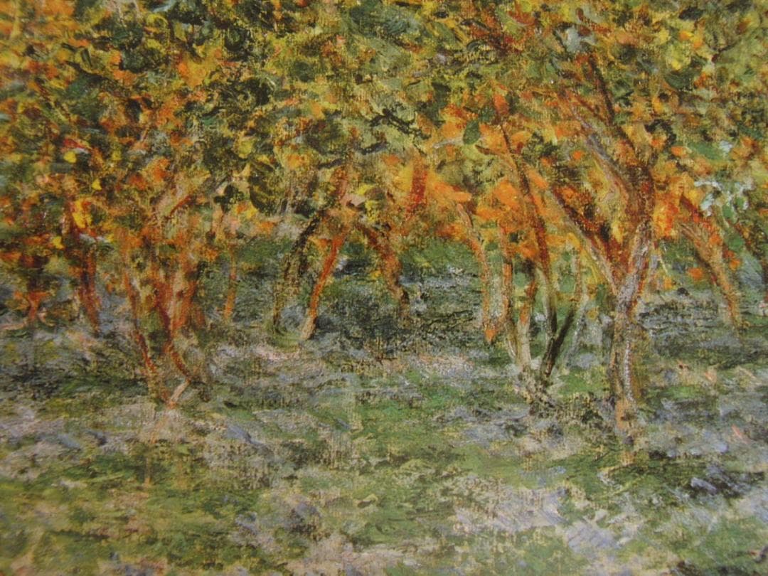 クロード・モネ、「Under the Lemon Trees」、厳選
