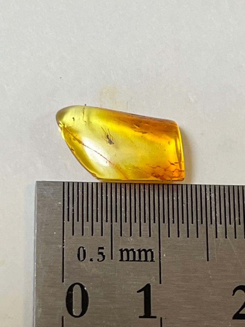 バルト海産　虫入り琥珀　12個セット　全て虫入り　本物保証　良いコンディション