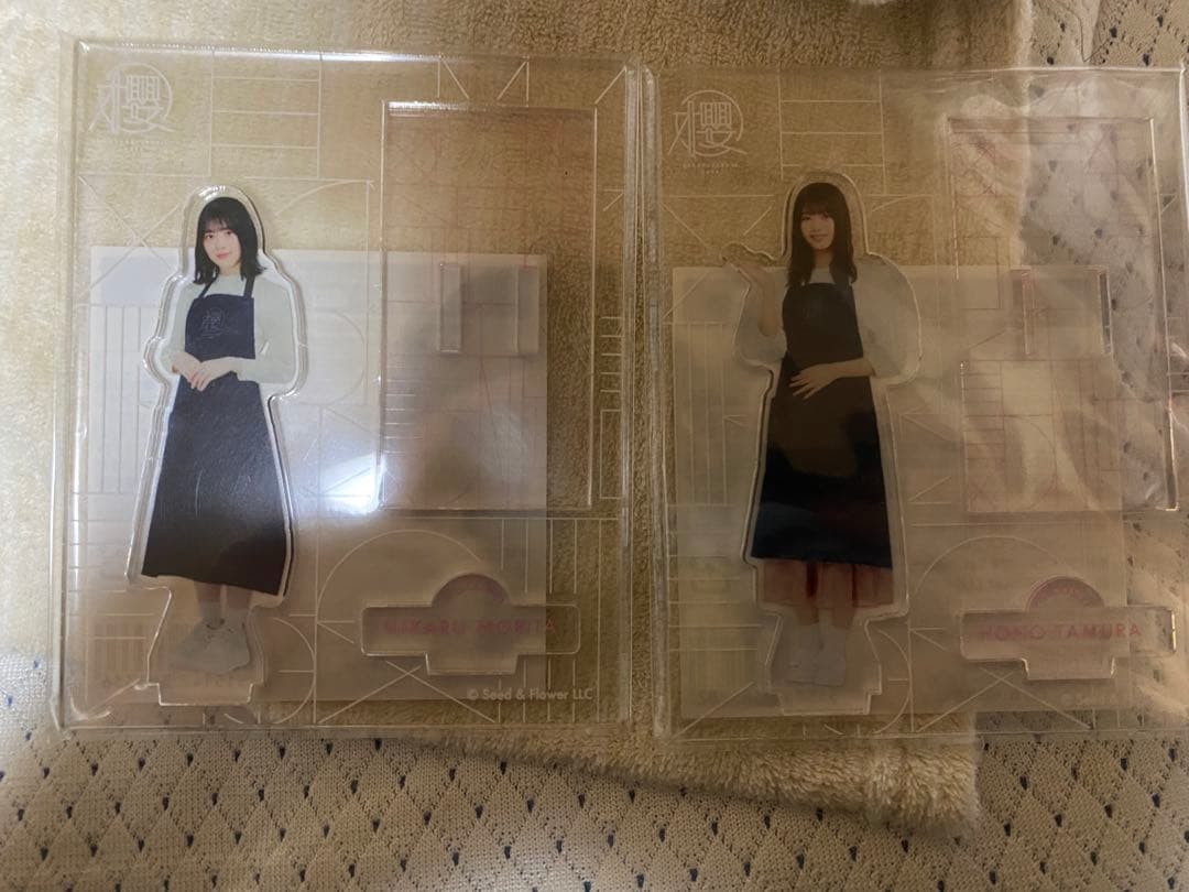 欅坂、櫻坂生写真セット