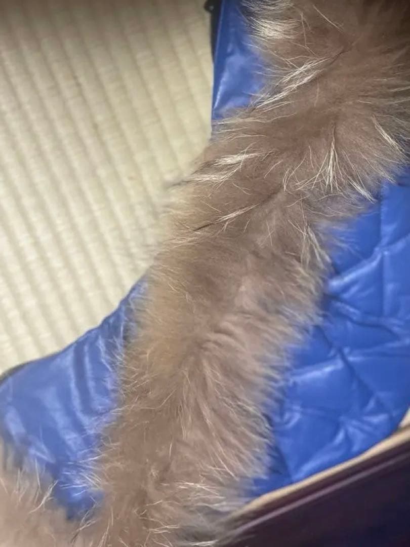 ゆうぽむぷりん高級本革 羊革 青　レザー キルティング ダイヤ ジャケット