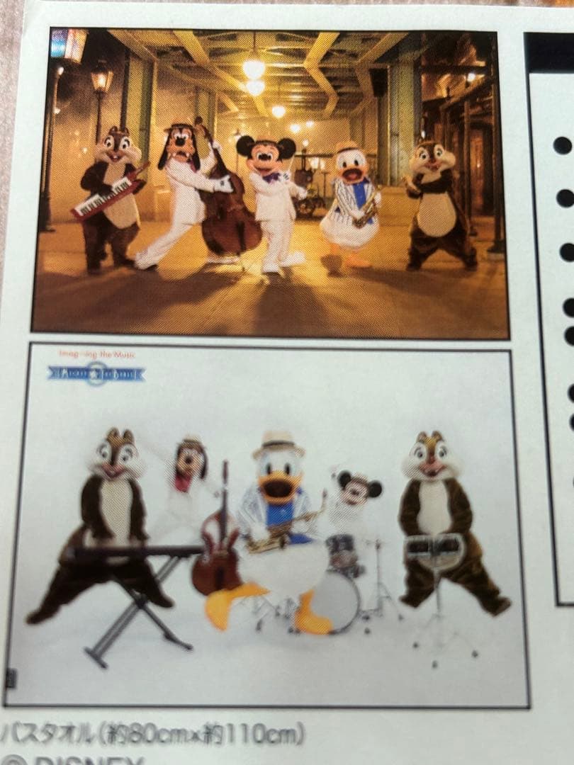 イマジニング　ミッキー、ドナルド、グーフィー、チーデー　実写版　バスタオル　新品