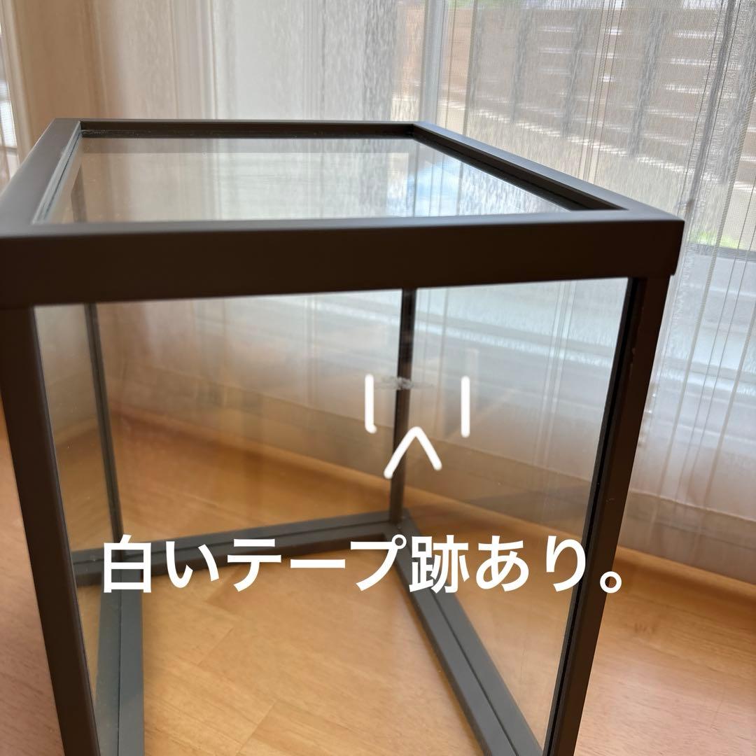 LIADRO ガラスショーケース グレー