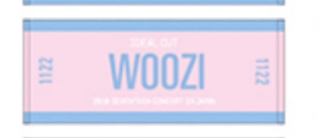 SEVENTEEN 세븐틴 ウジ うじ woozi 우지 歴代グッズ タオル
