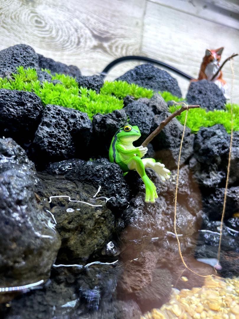 アクアテラリウム　溶岩石　No.7